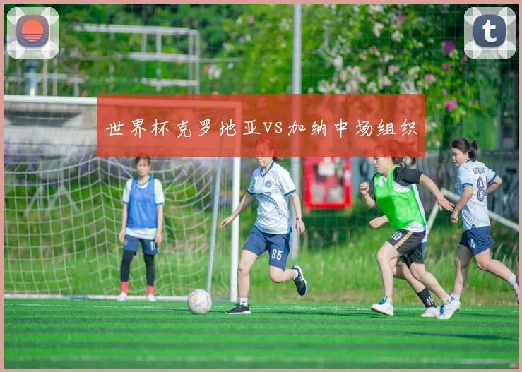 世界杯克罗地亚vs加纳中场组织