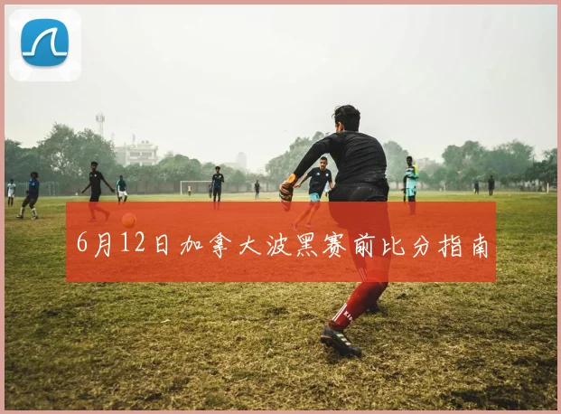 6月12日加拿大波黑赛前比分指南